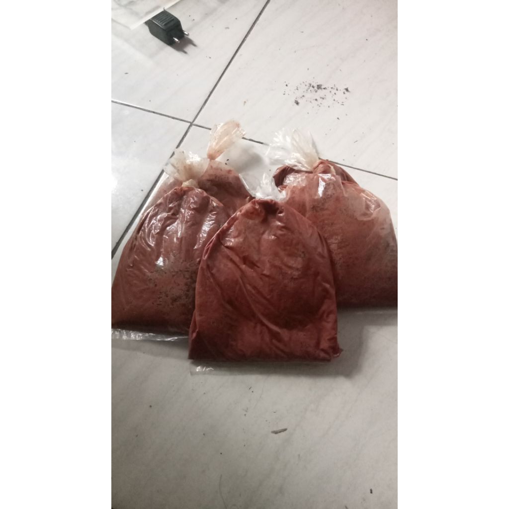 umpan pancing Galatama lele ati biawak