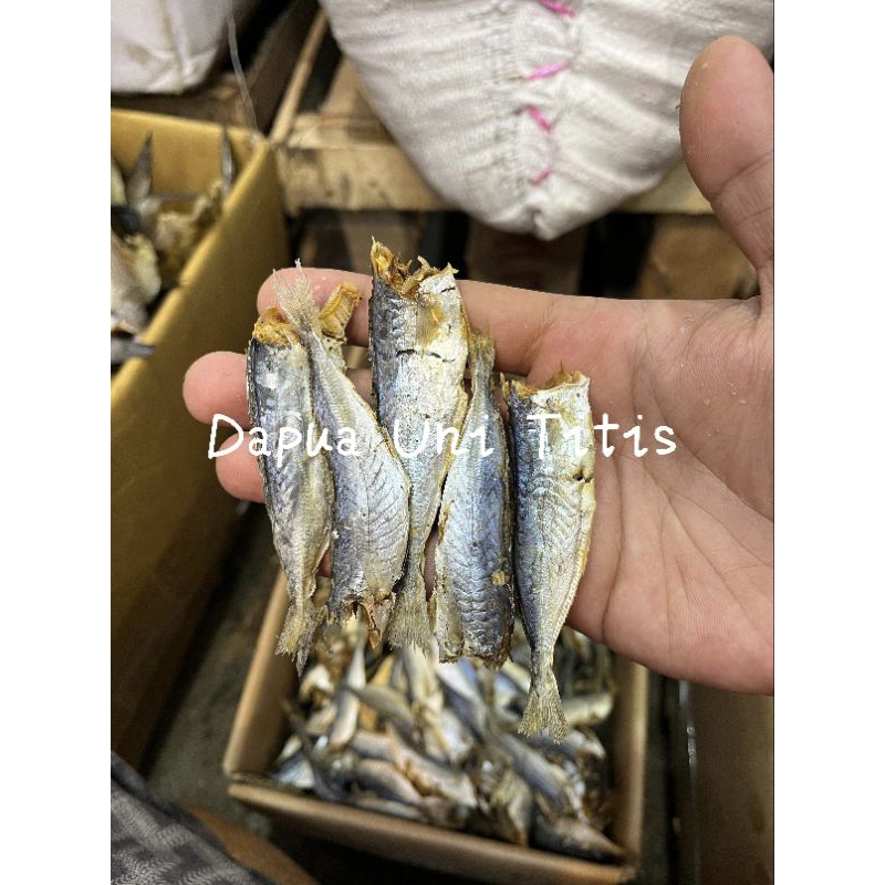 

Ikan Asin / Maco Rebus Potong Kepala berat 100gr