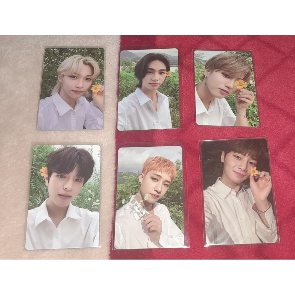 STRAY KIDS NOEASY FLOWER POB