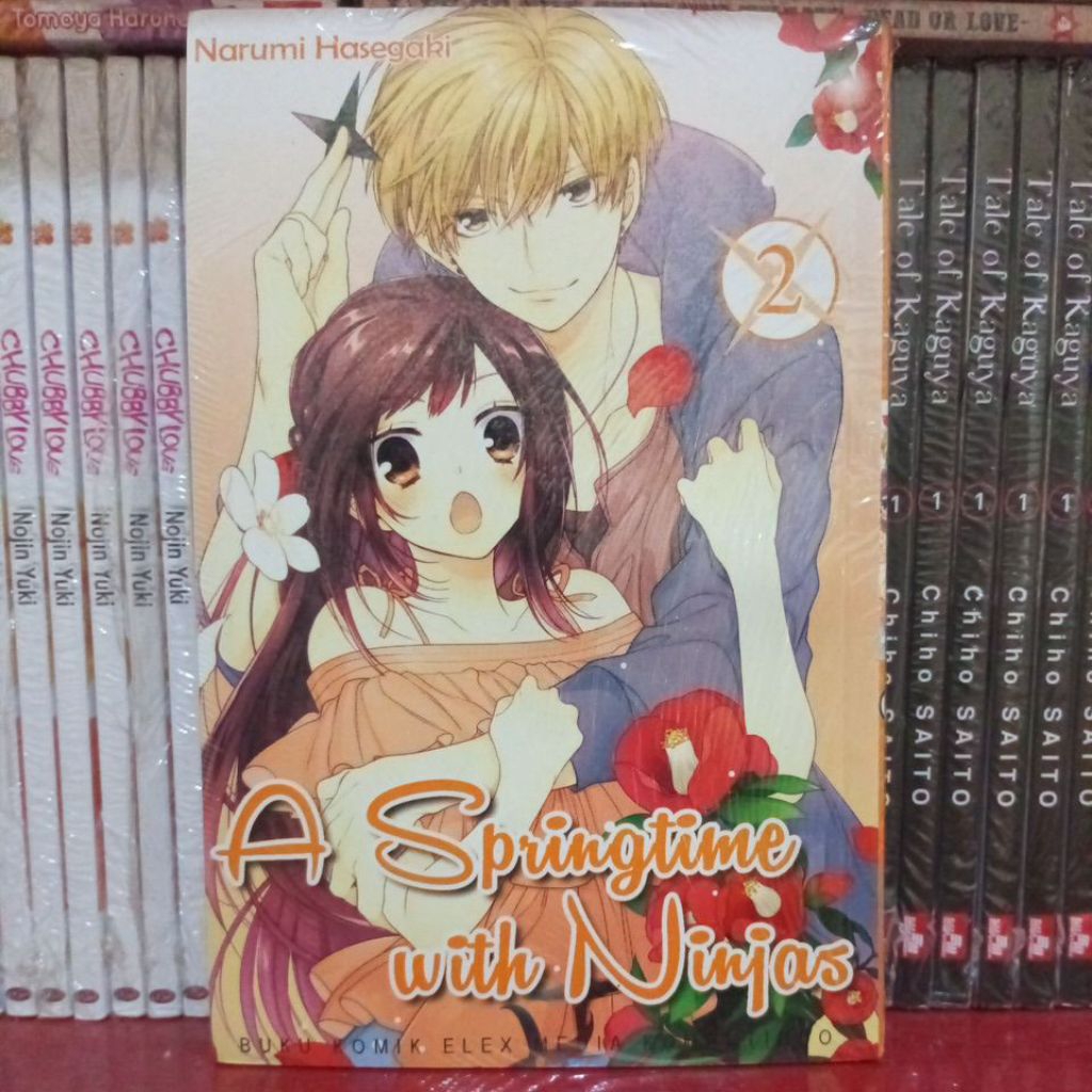 KOMIK A SPRINGTIME WITH NINJAS VOL. 2 & 4 END