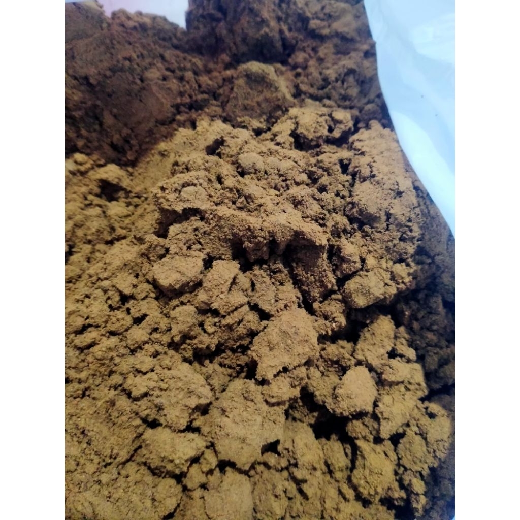 

kopi robusta murni 100%