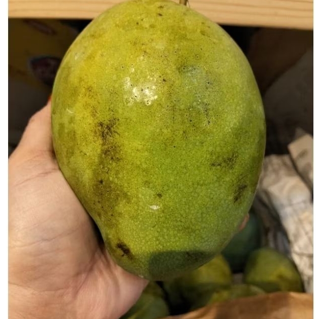 

Mangga Harum Manis | manis matang | mangga harum manis papabuah
