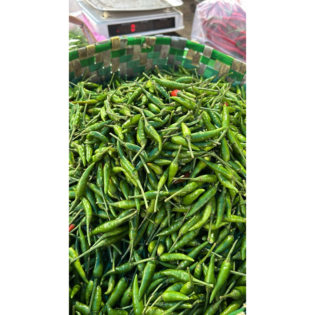 

Cabe rawit runcing 1 kg