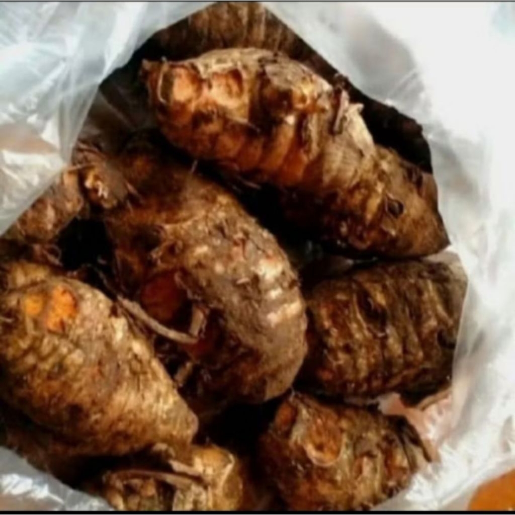 

Biang kunyit/empu kunyit/induk kunyit asli segar per 500gram
