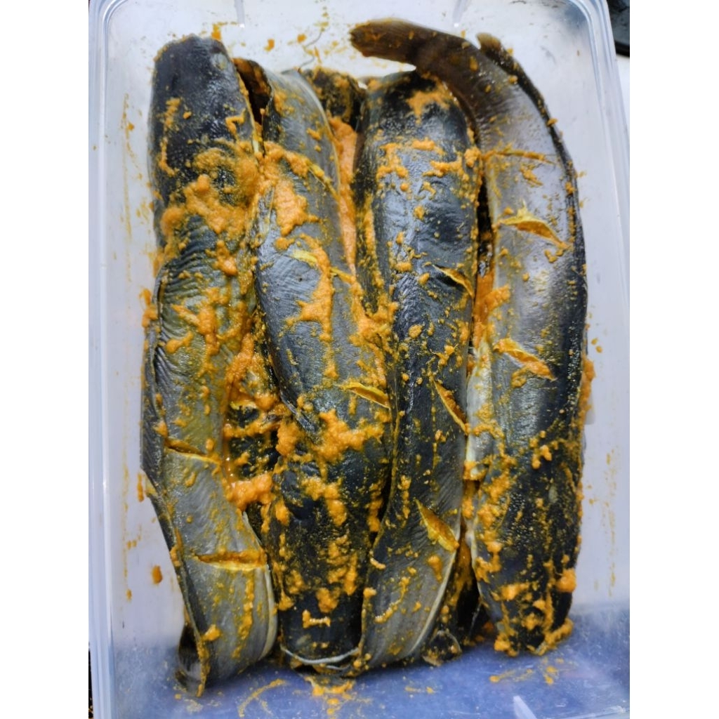 

Lele Bumbu Kuning Fresh/Frozen 1kg isi 7-8 ekor. HALAL ( Free Kremesan )