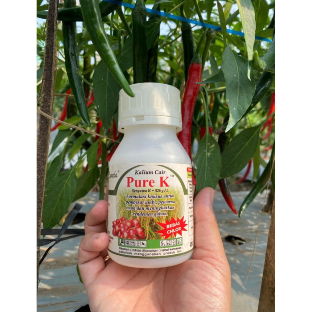 PURE K 526 100ml | Kalium Cair murni | Eureeka