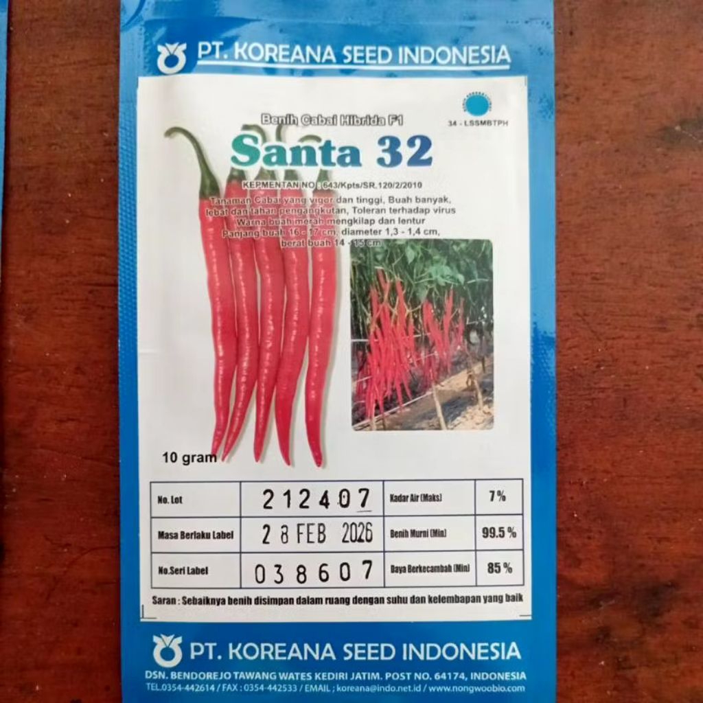 benih cabe besar SANTA 32/10 GRAM