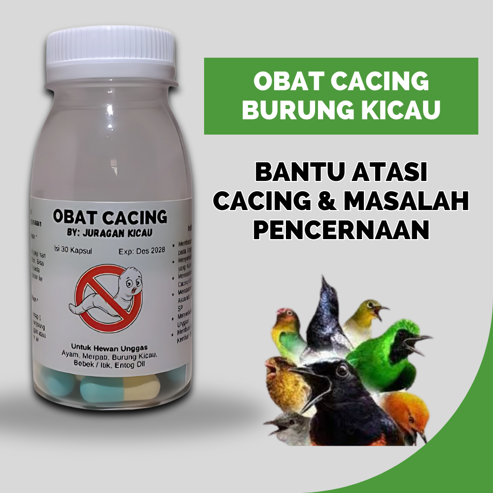 Obat Cacing Burung Kicau Bantu Mengobati Burung Cacingan Mencret Untuk Murai Sogon Perkutut Kenari