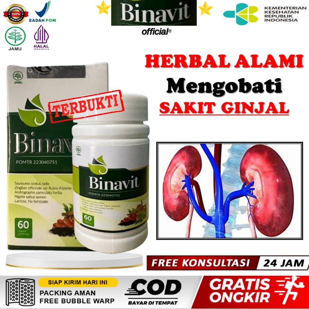 Obat Ginjal Ampuh, Ginjal Bengkak, Batu Ginjal, Ginjal Bocor, Ginjal Tanpa Cuci Darah - BINAVIT
