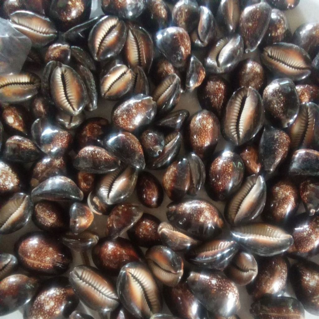 kuwuk hitam/buli hitam untuk biji bekel kerajinan koleksi.harga per 100 grams