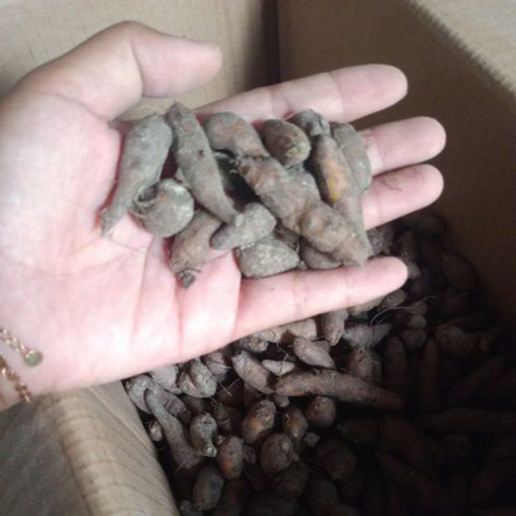 

kentang hitam kecil 1kg Termurah