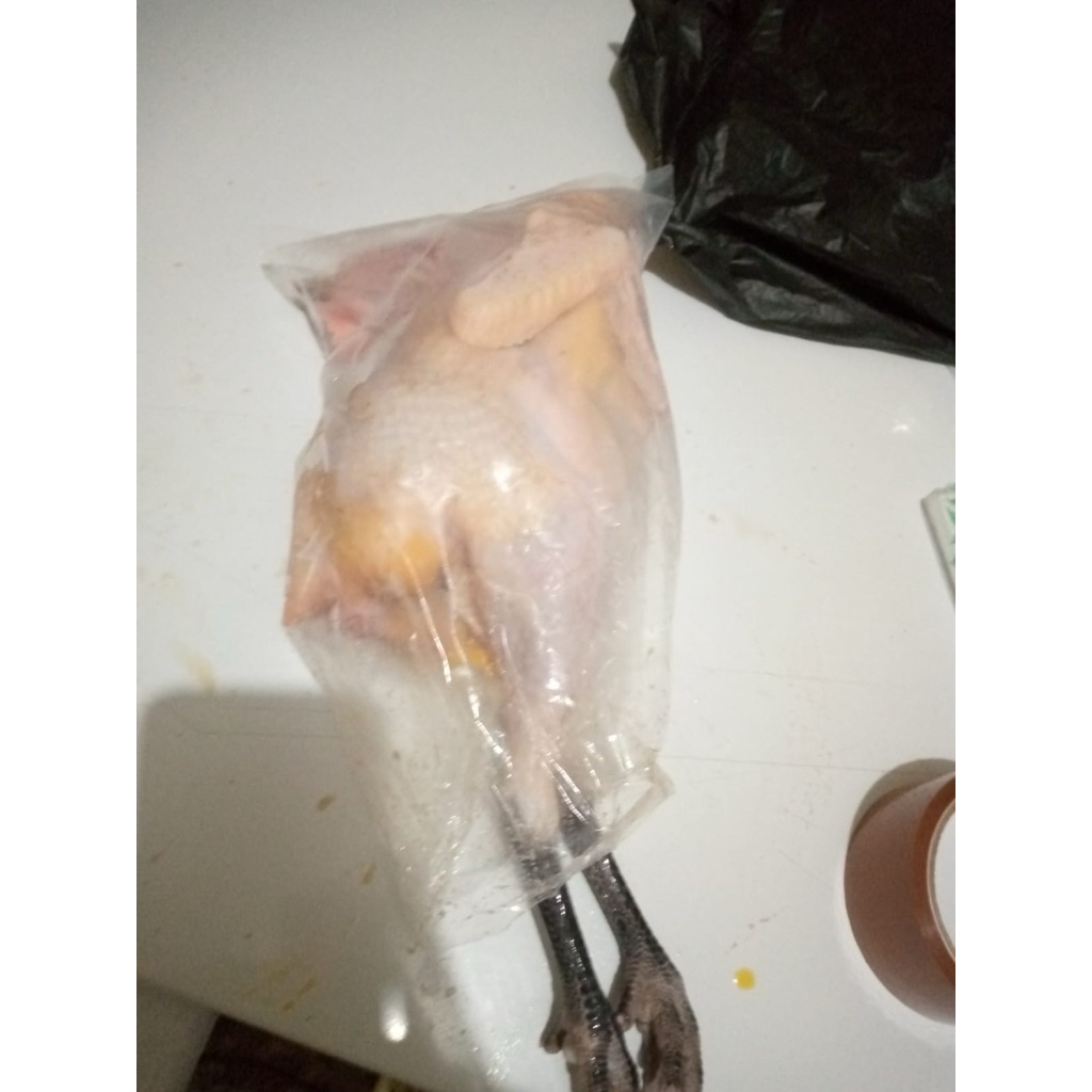 

Ayam Kampung asli