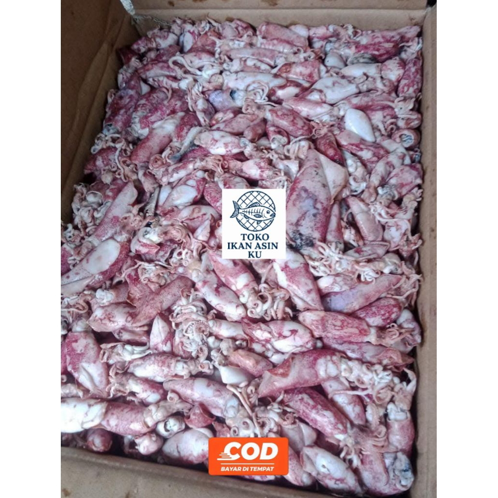 

Ikan Cumi Asin Rebus 250gr Ikan Asin Fresh