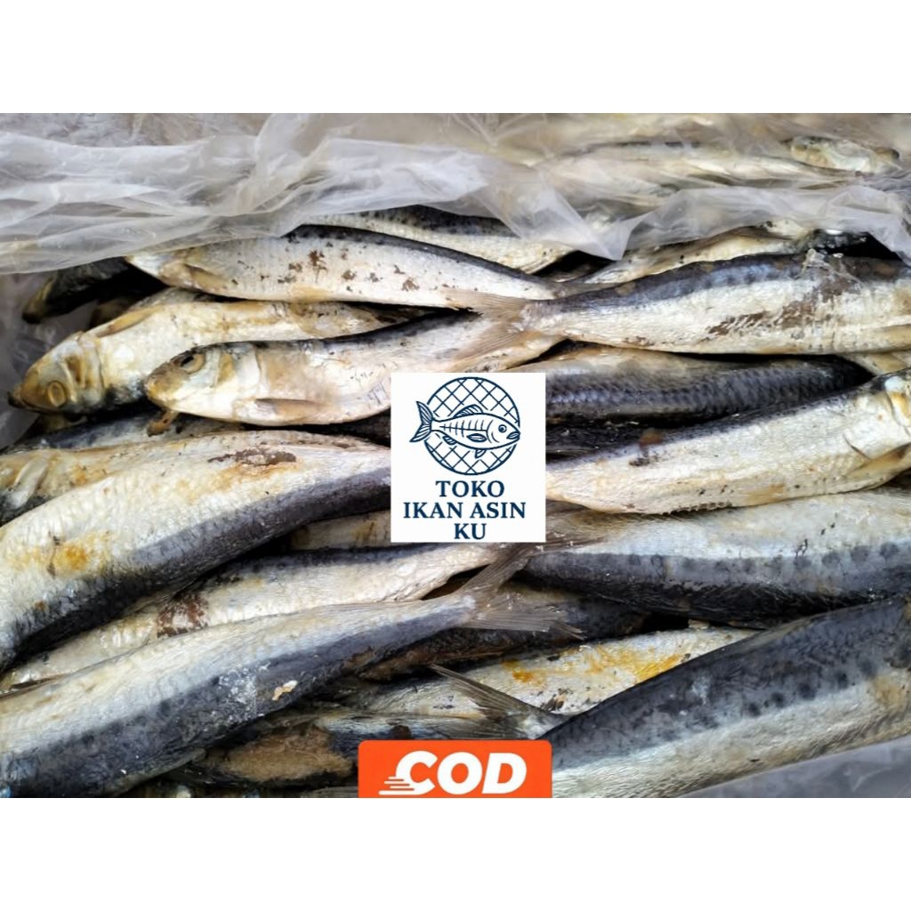 

Ikan Asin Japuh Jumbo 250gr. Ikan Asin Fresh