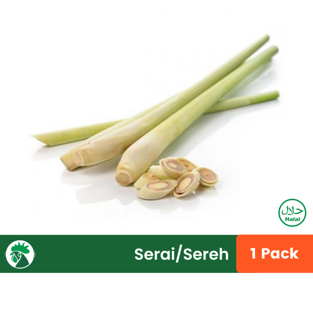 

Serai Sereh Batang | Serai Bumbu Masak | Rempah Masak Sere Serai Sereh