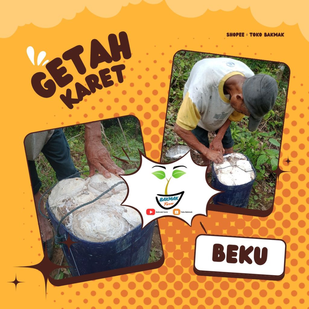 GETAH POHON KARET LATEK LATEKS LATEX BEKU bidor balam bendo cair kawat topi sepatu kebun lem pulut p