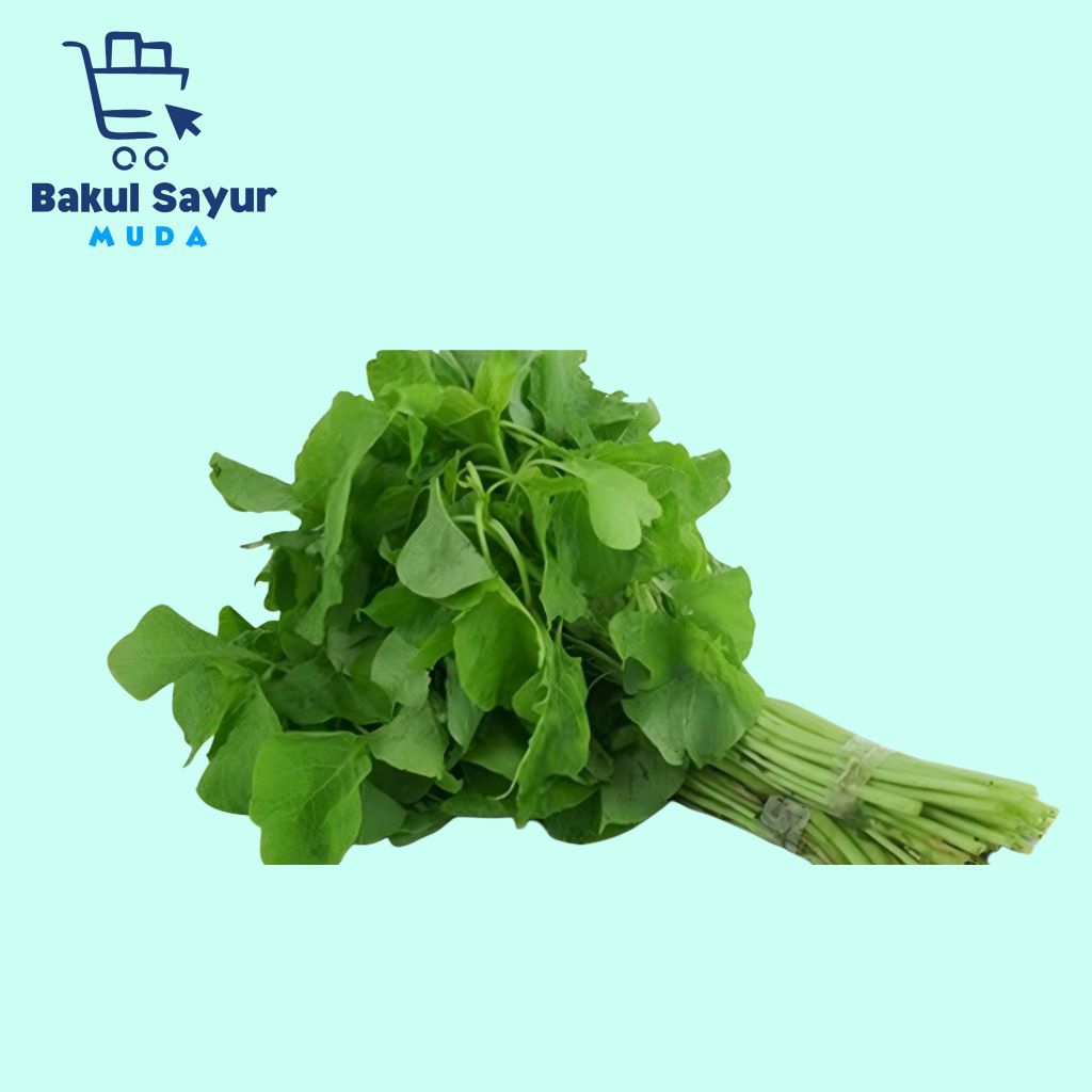 

Bayam Segar 1 Ikat