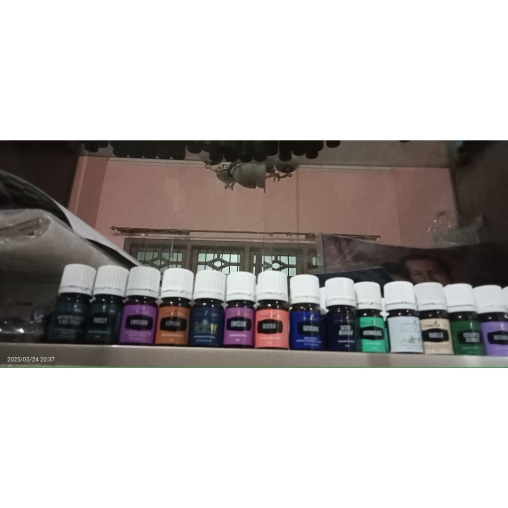 oil 5ml young living Northern , parsley, envision, copaiba, believe, ocotea, gathering  sacred mount