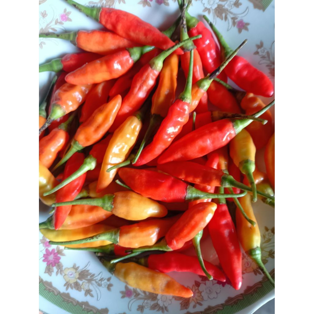 

cabe rawit merah ori 500 gram