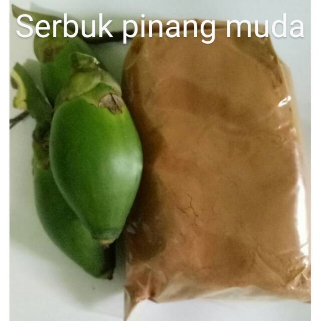 

SERBUK PINANG MUDA