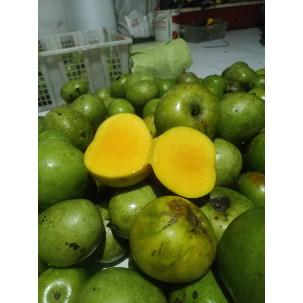 

mangga apel matang 1 kg mangga matang manis daging kuning