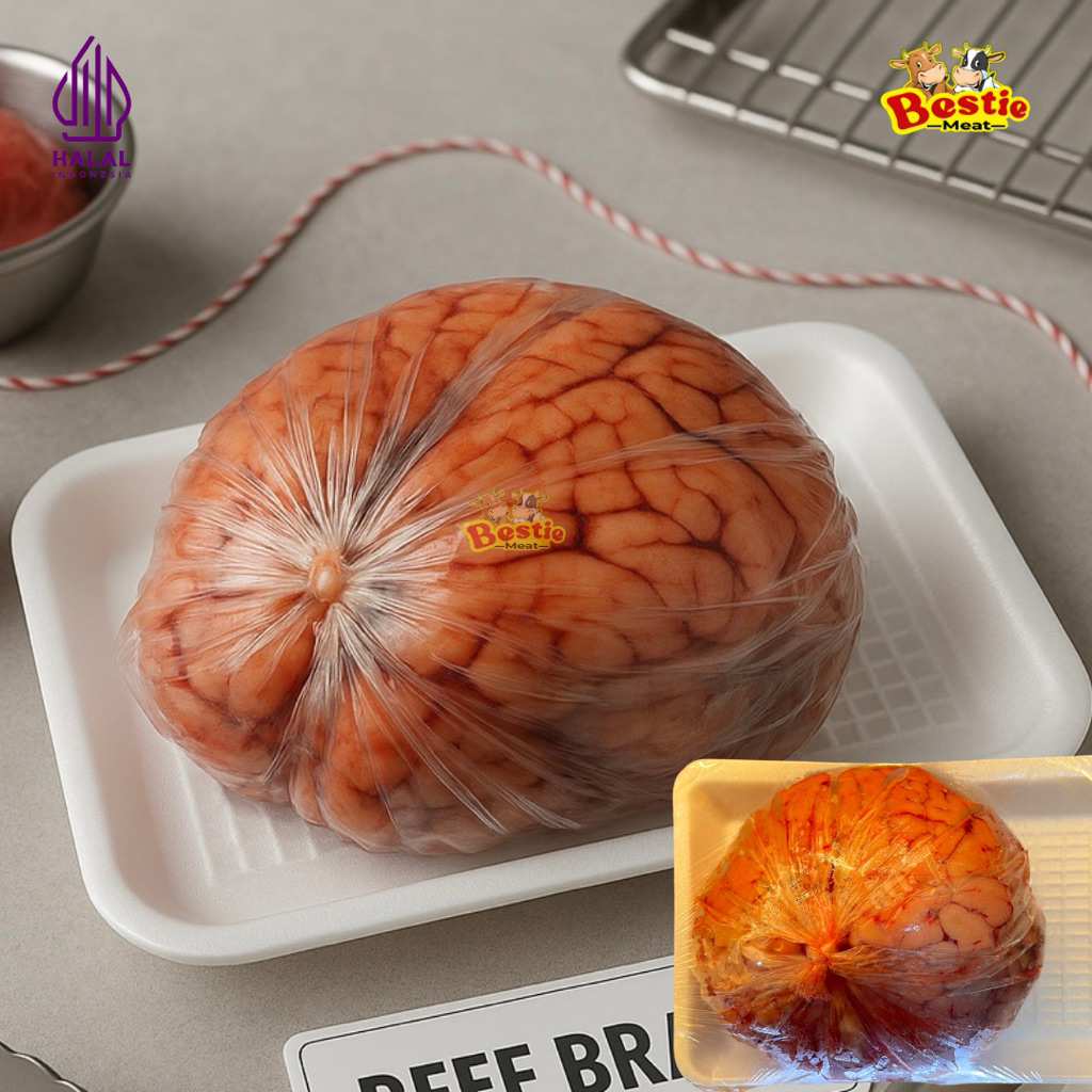 

Otak Sapi | Otak Sapi Utuh