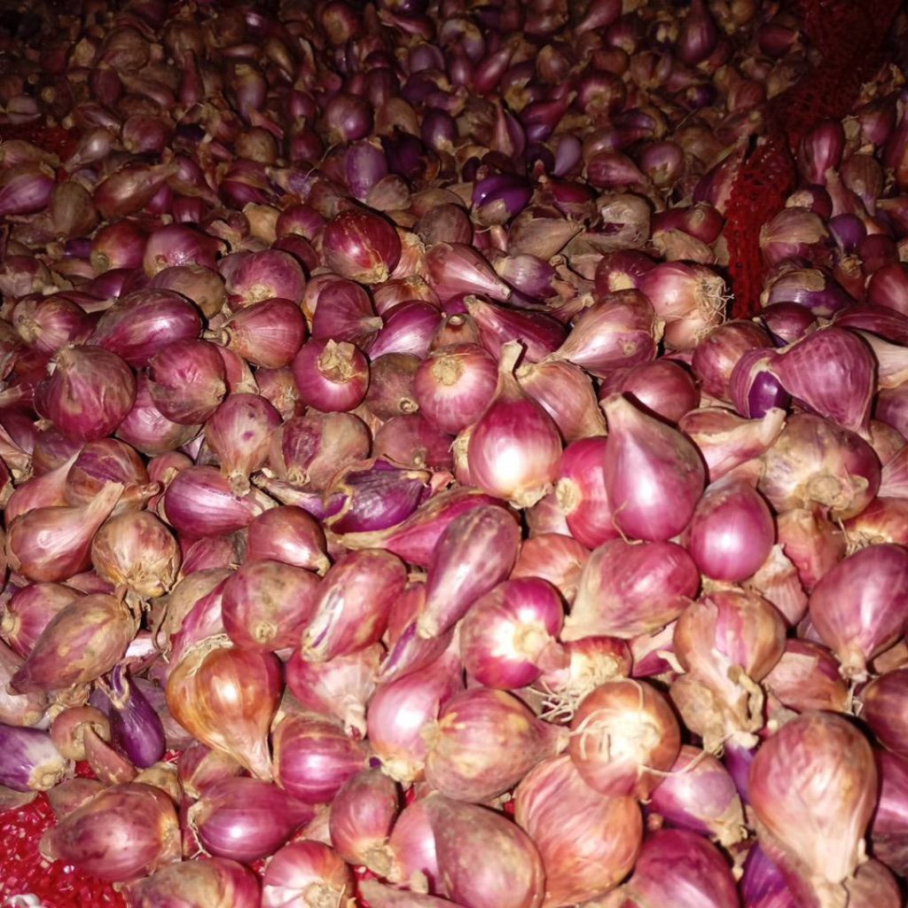 

BAWANG MERAH BREBES 1KG