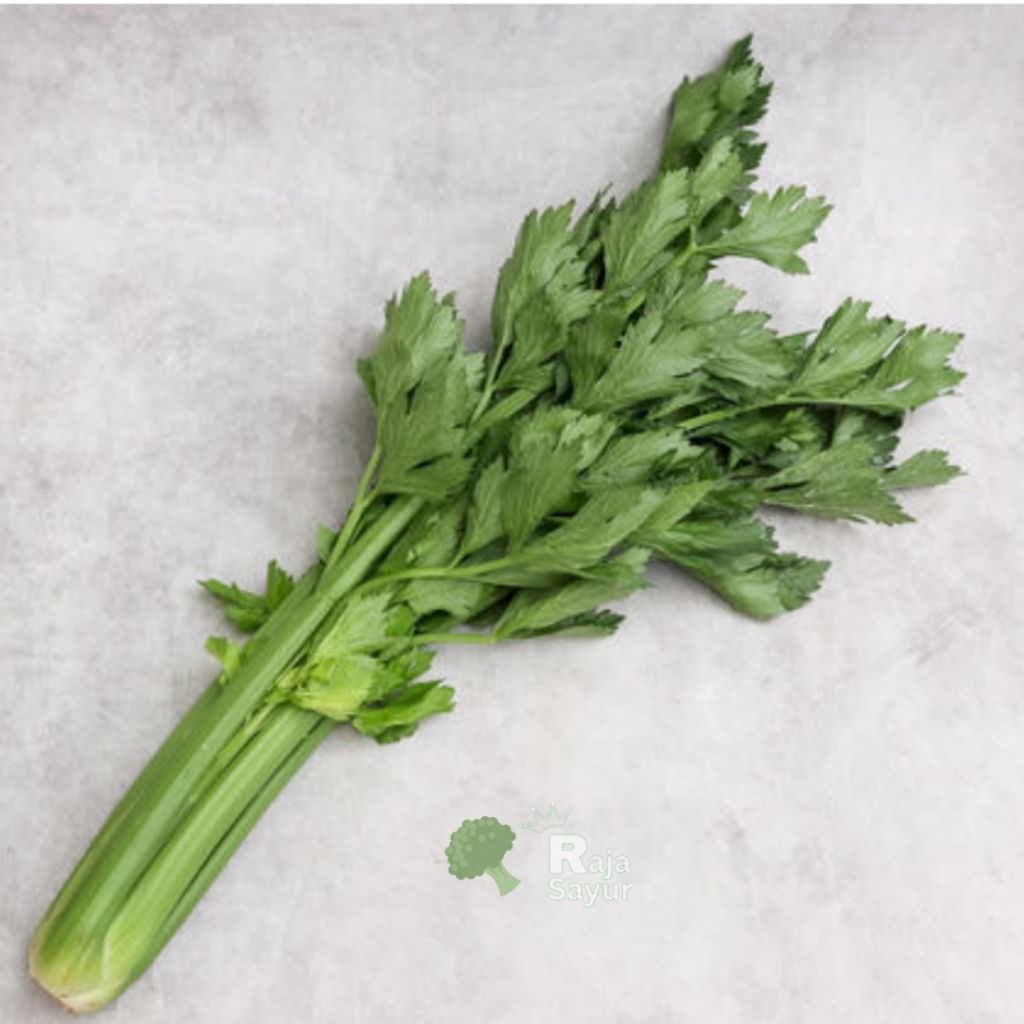 

Daun Seledri fresh