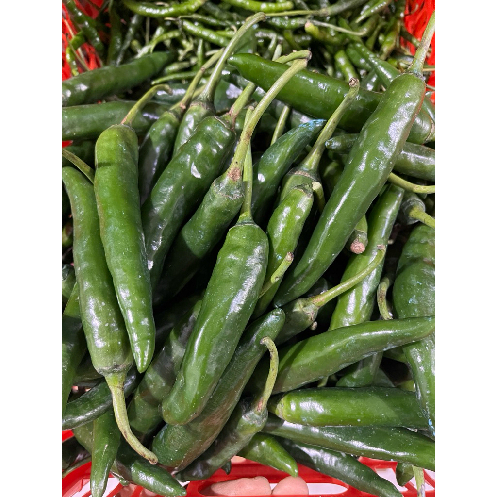 

Cabe Hijau Besar 500g, 750g, 1 kg | Promo Bumbu Dapur | Fresh Buah Amanah