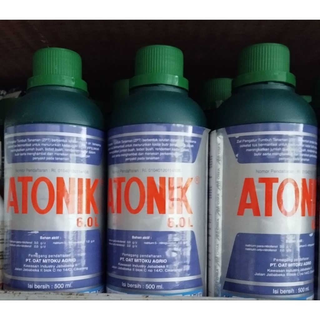 ATONIK 500ML/ ZPT