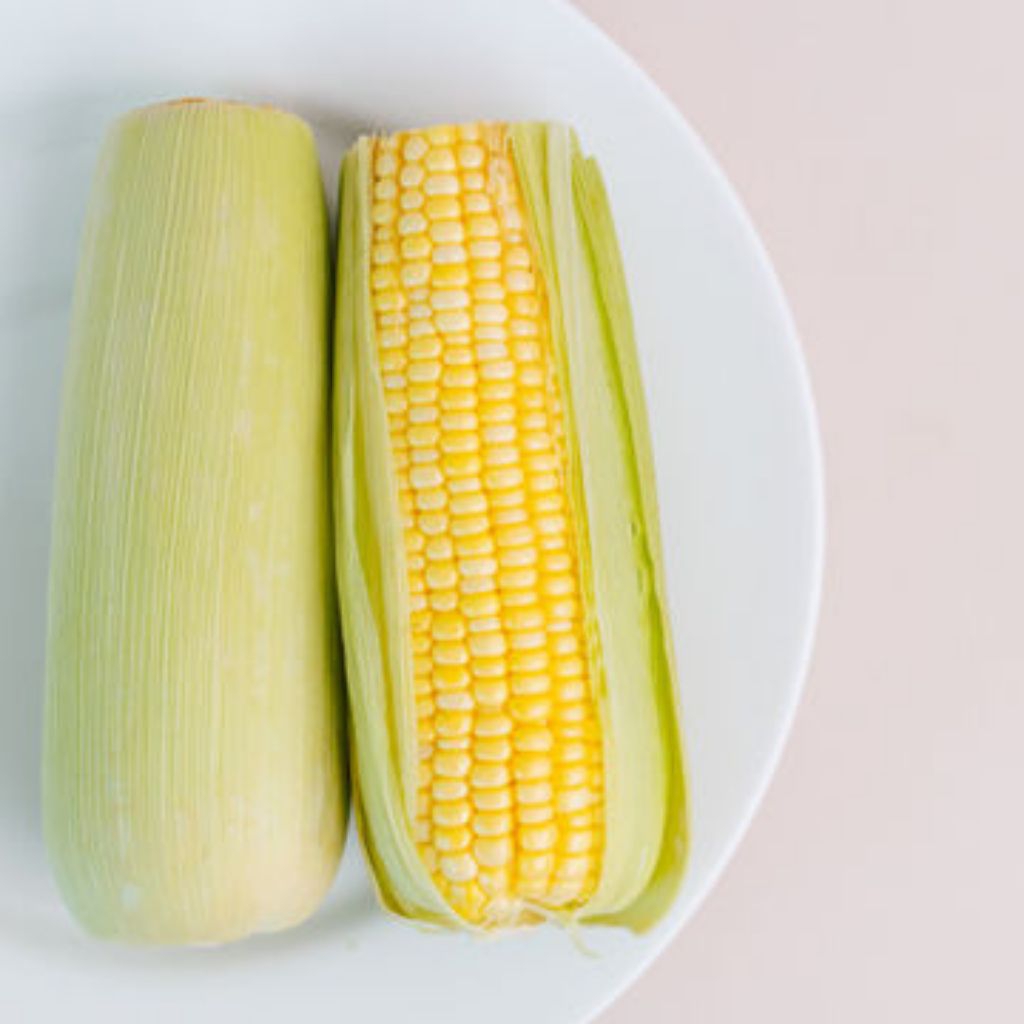 

jagung manis