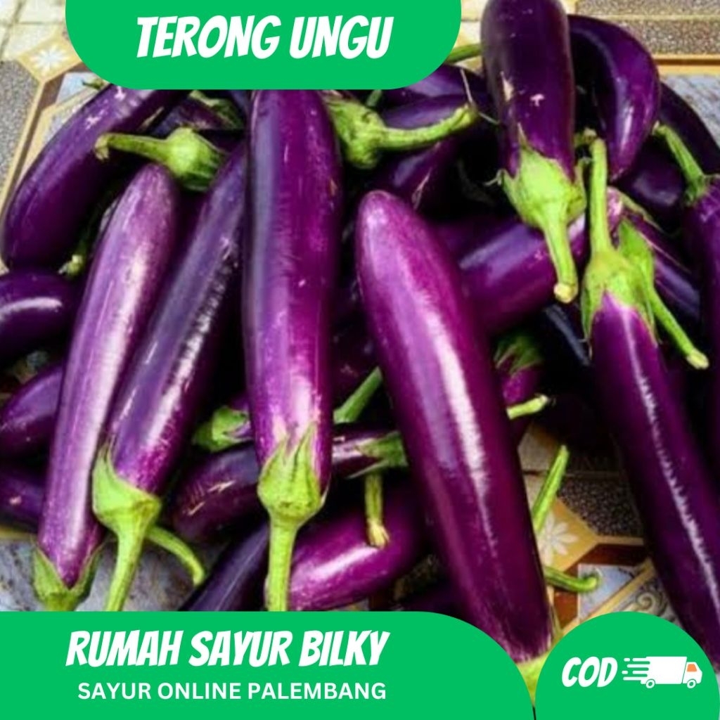 

TERONG UNGU SEGAR 500g / 1kg