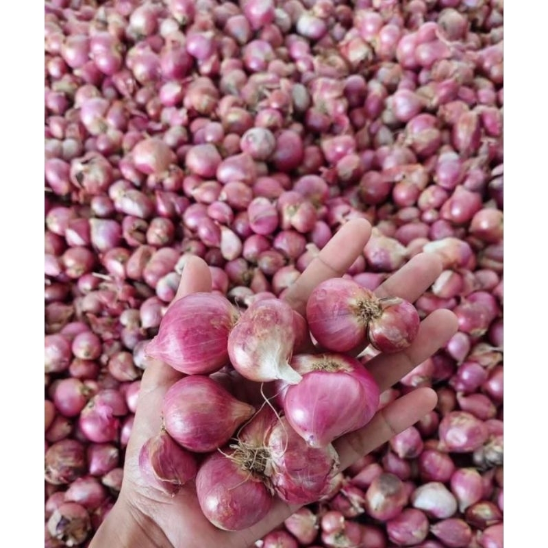 

Bawang merah 1kg Kering Besar Tanggung
