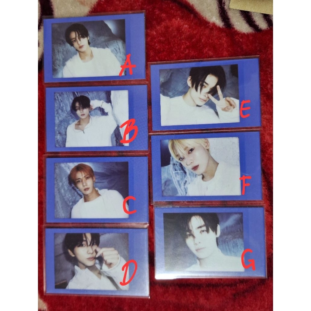 Polaroid Weverse Enhypen OFFICIAL
