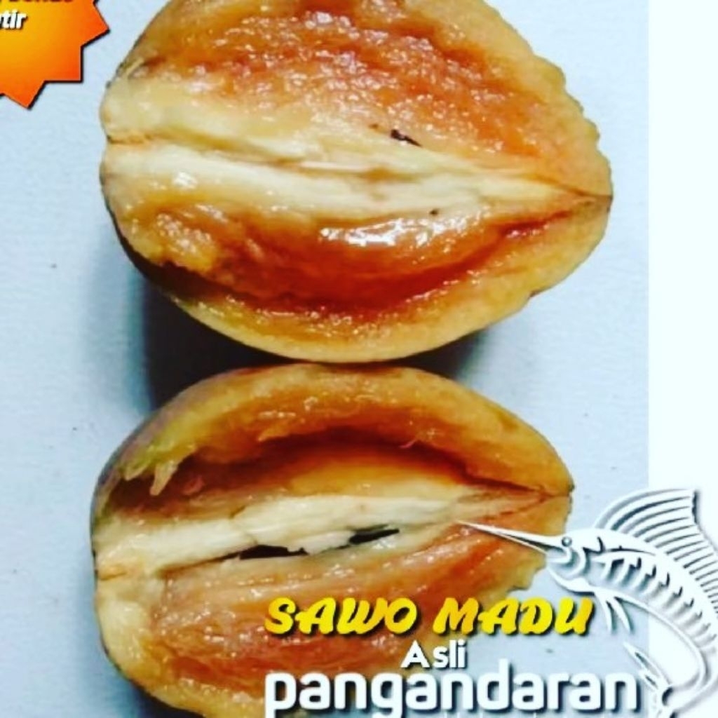 

promo!!! beli 2kg gratis 1kg sawo madu jumbo asli pangandaran rasa manis giung