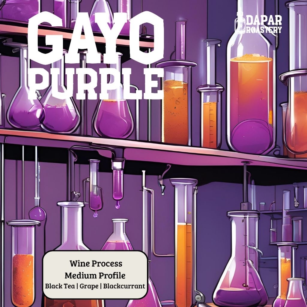 

Kopi Arabika Gayo PURPLE Wine