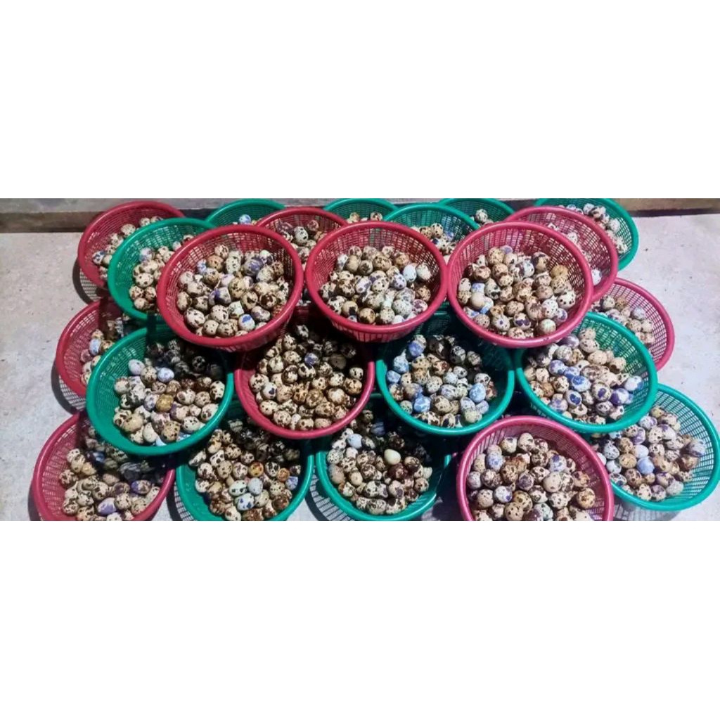 

Telorpuyuhfreshkosumsi