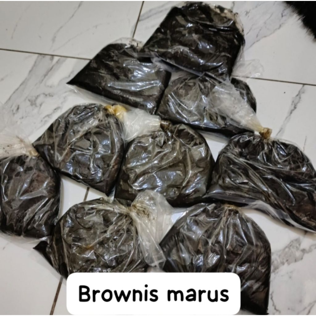 Umpan Galatama Lele Brownis Marus - Tatula Fishing