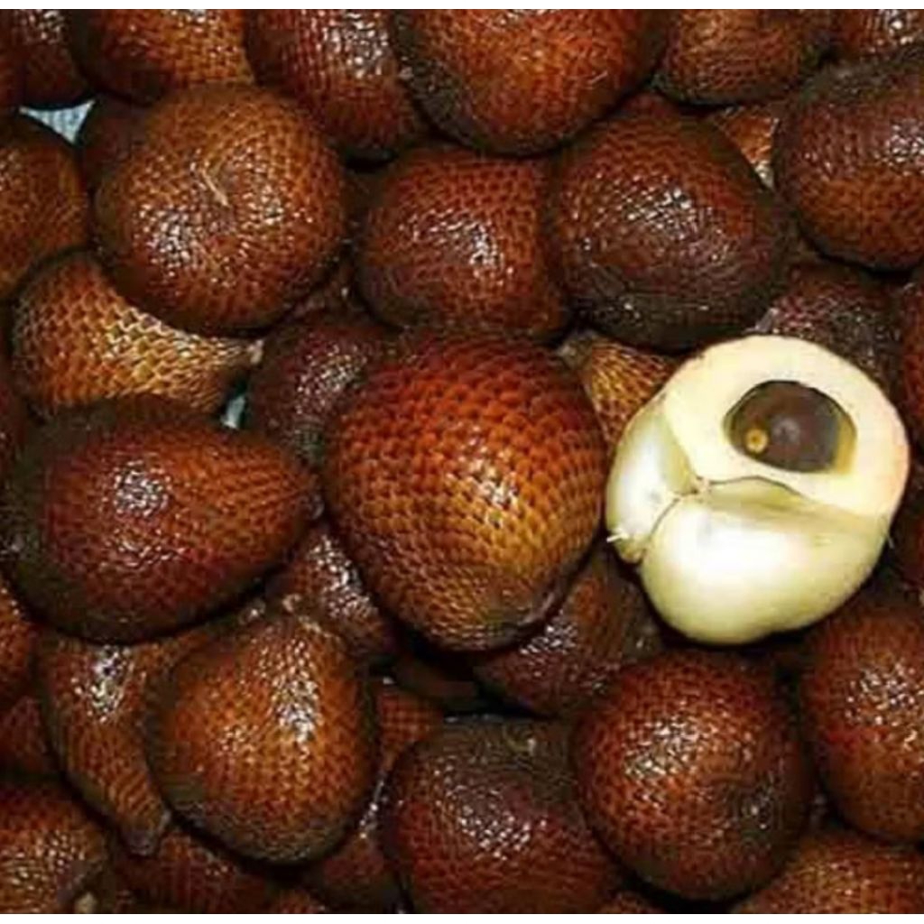 

SALAK PONDOH MANIS DAN FRESS, JAMIN ISI 1 Kg
