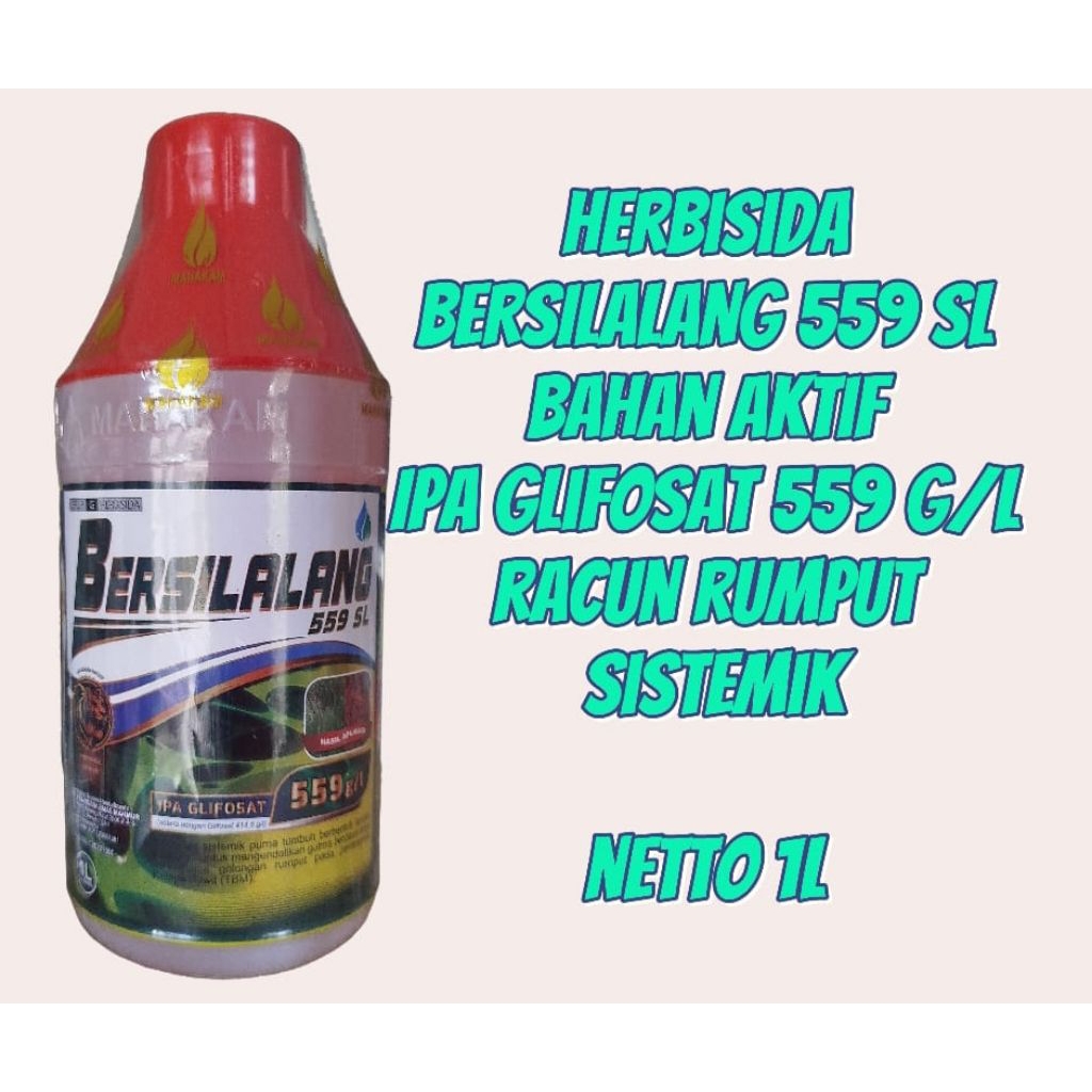 herbisida sistemik BERSILALANG 559SL.kemasan 1 L. racun rumput daun sempit