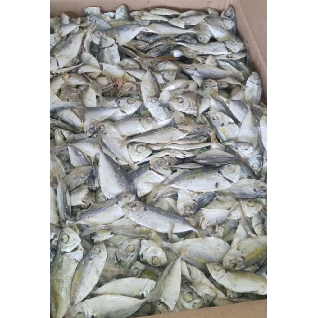 

Ikan Asin Rebus Selar Size 3-5 cm