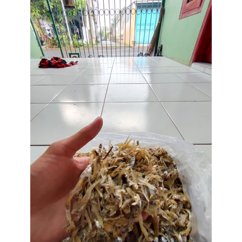 

Teri kecil