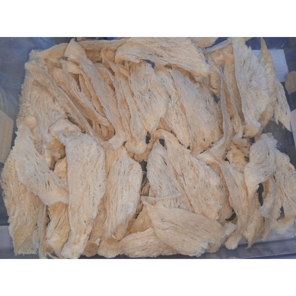 

sarang walet lempengan