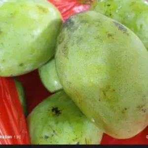

MANGGA INDRAMAYU 1 kg