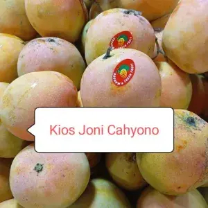 

MANGGA GEDONG GINJU 1 KG
