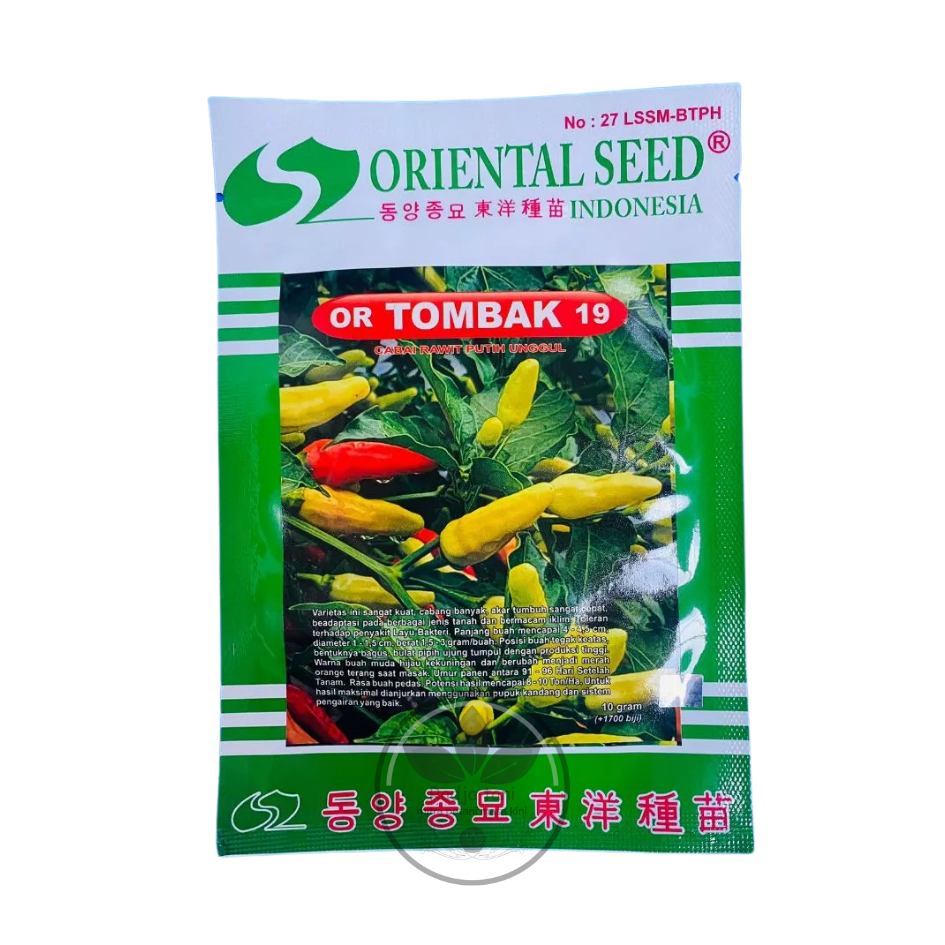 Benih - Benih cabai putih or TOMBAK 19 isi 10gr dari ORIENTAL SEED (ORIENTAL SEED)