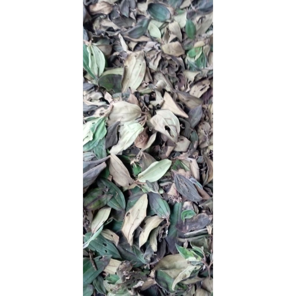

daun harendong kering 200 grm