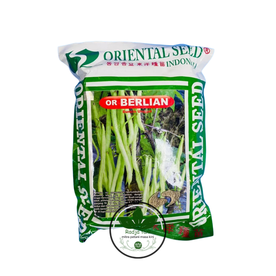Benih - Benih buncis unggul or BERLIAN isi 500gr dari ORIENTAL SEED (ORIENTAL SEED)