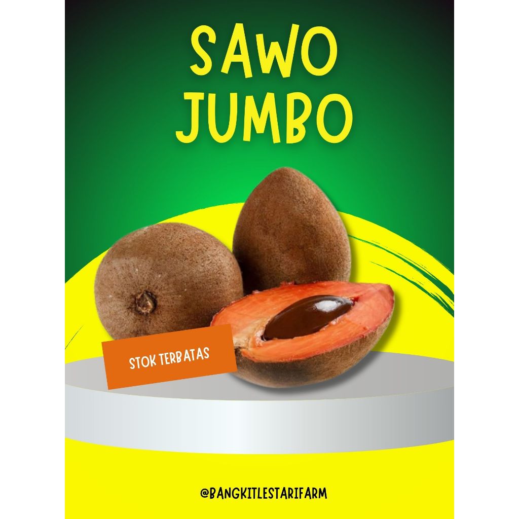 

BUAH LANGKA !! Buah Mamey Sapote Red