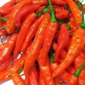 

CABE MERAH RAW!T SETAN 250 GRAM
